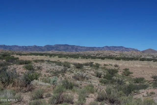 a view of a town with mountains in the background
