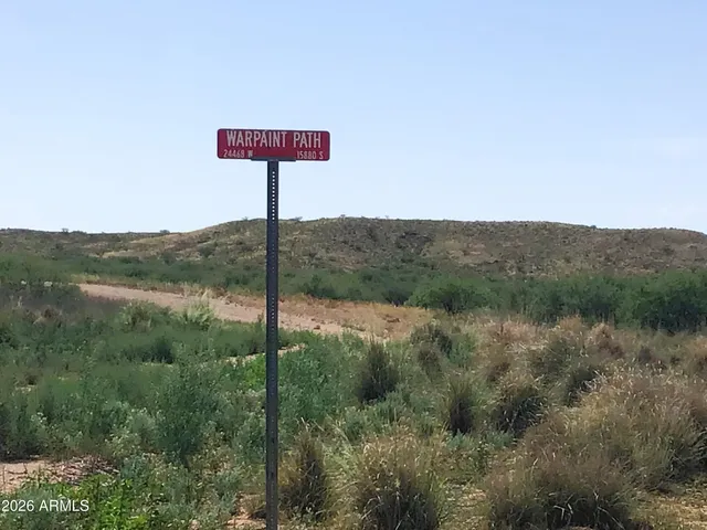 a view of a street with a lush green forest