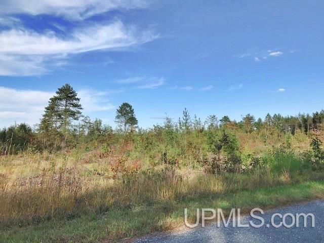 31-acres Weckerle Road Pembine, WI 54156 - Photo 8 of 10