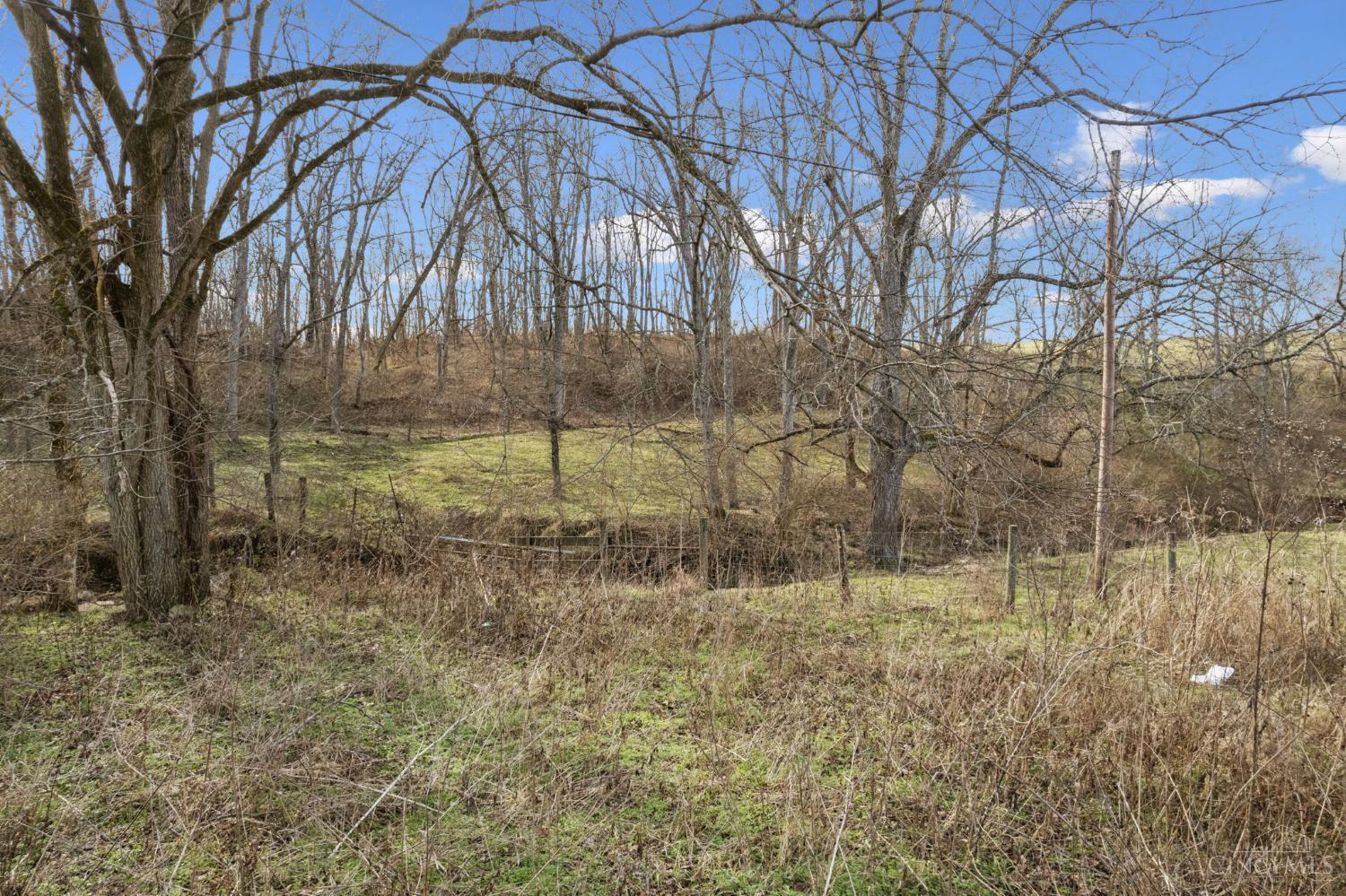 7340 Chicken Hollow Road Ripley, OH 45167 - Photo 13 of 35