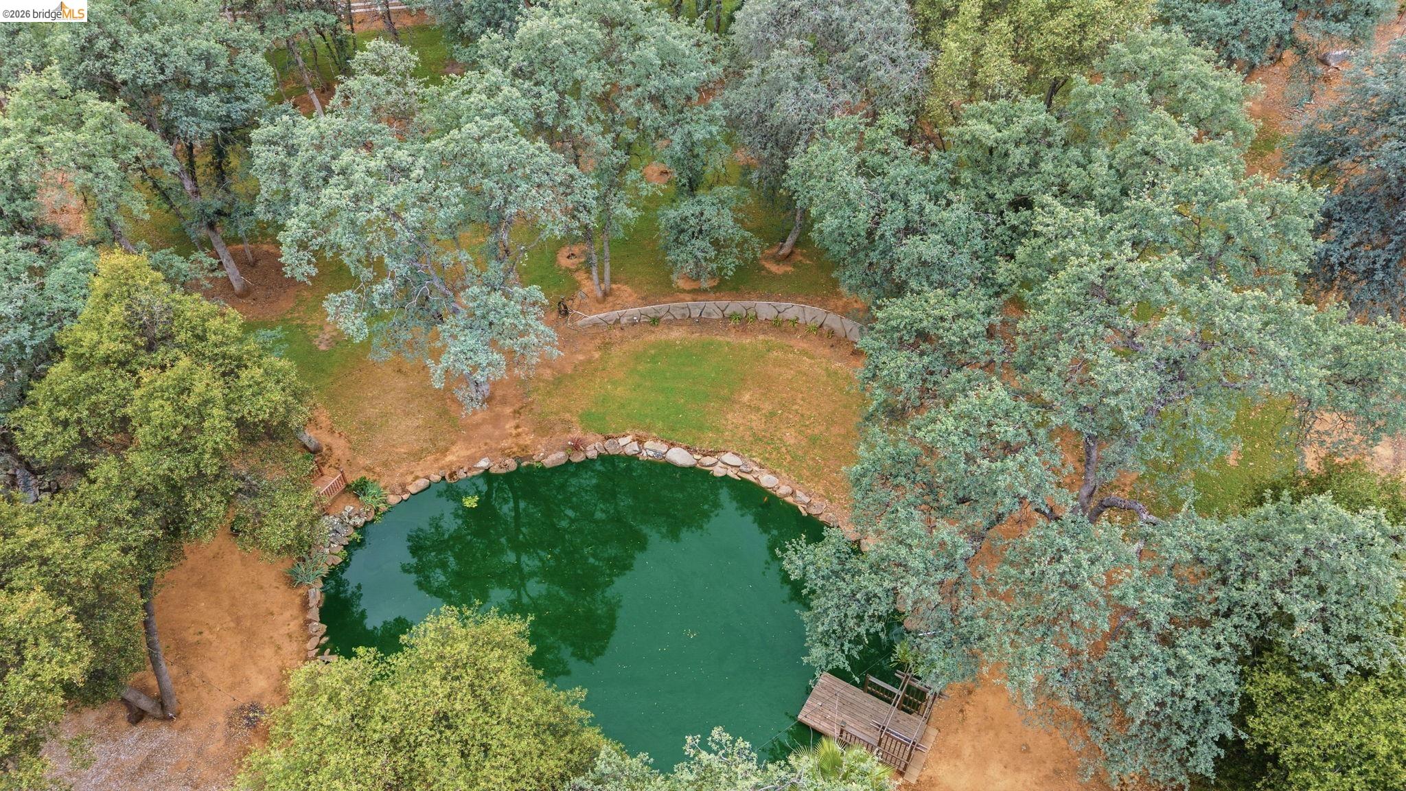 18450 Lambert Lake Road Sonora, CA 95370 - Photo 86 of 87 Natural water feature surrounded by mature trees