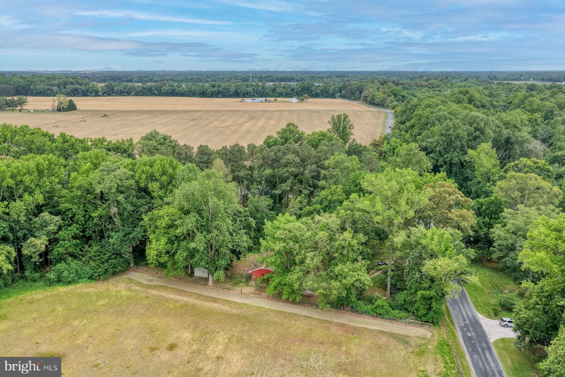 3675 Seaman Road Preston, MD 21655 - Photo 38 of 41