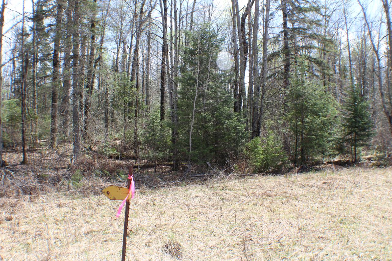 On Price Lakes Road, Unit 2 4 ACRES Park Falls, WI 54552 - Photo 6 of 8 Gallery Image 6