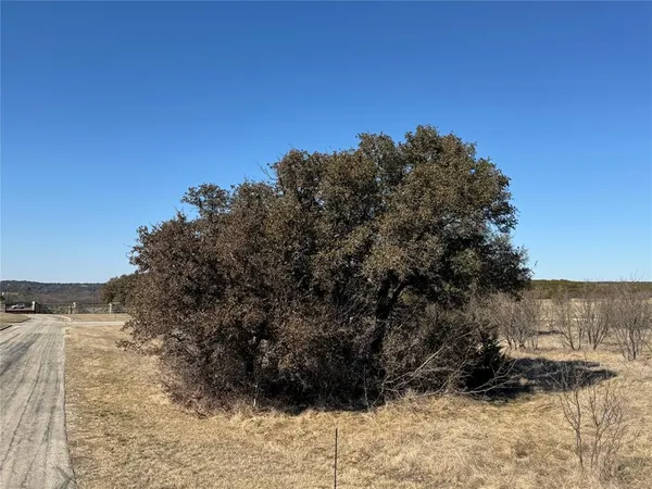 $55,000 | Lot 401 Park Hills Boulevard, Graford, TX 76449