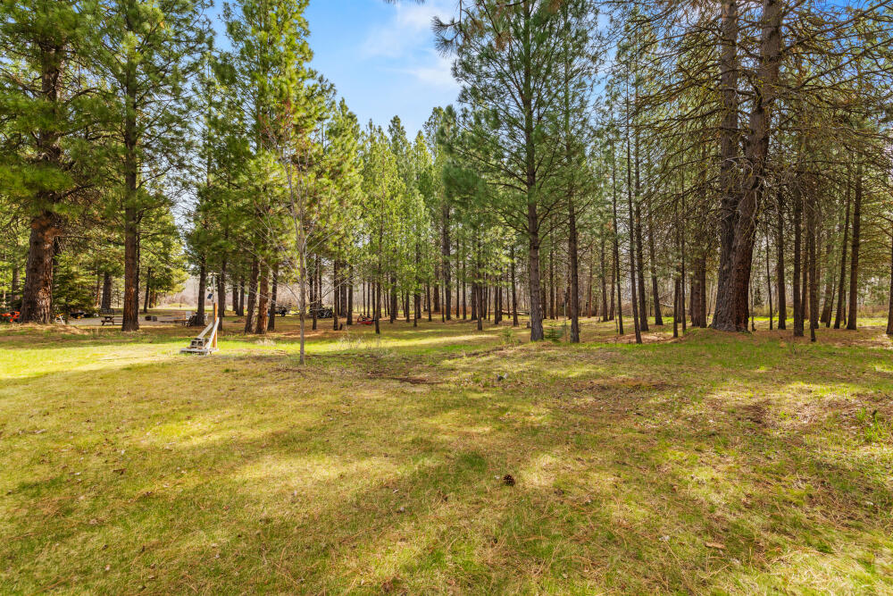 25437 Rocky Point Road Klamath Falls, OR 97601 - Photo 56 of 90 52 back yard