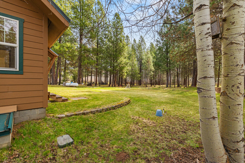 25437 Rocky Point Road Klamath Falls, OR 97601 - Photo 67 of 90 63 side yard south side