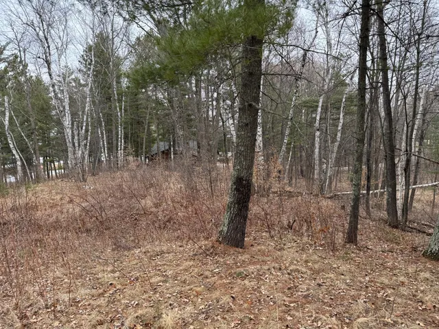 $74,900 | Tbd Tbd Miller Bay Lane, Hackensack, MN 56452