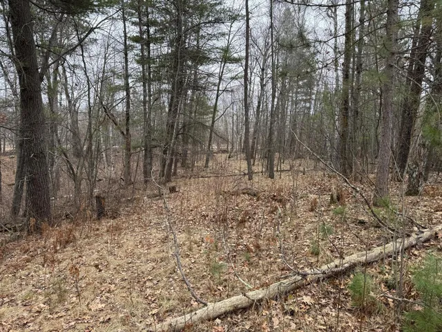 $74,900 | Tbd Tbd Miller Bay Lane, Hackensack, MN 56452