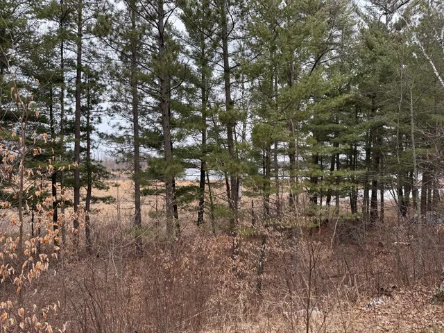 $74,900 | Tbd Tbd Miller Bay Lane, Hackensack, MN 56452