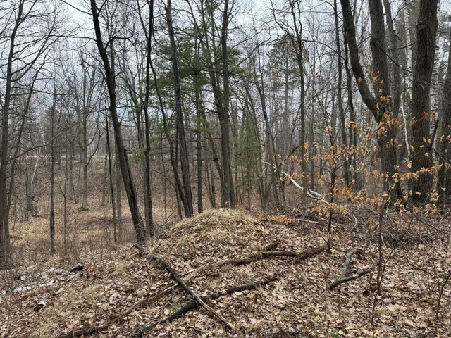 $74,900 | Tbd Tbd Miller Bay Lane, Hackensack, MN 56452