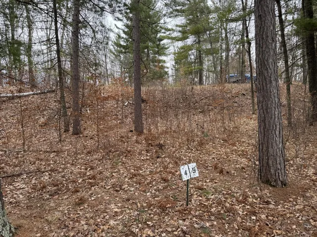 $74,900 | Tbd Tbd Miller Bay Lane, Hackensack, MN 56452