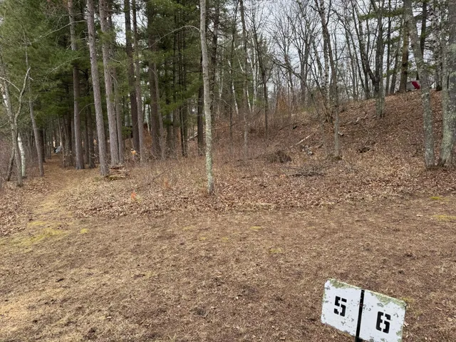 $74,900 | Tbd Tbd Miller Bay Lane, Hackensack, MN 56452