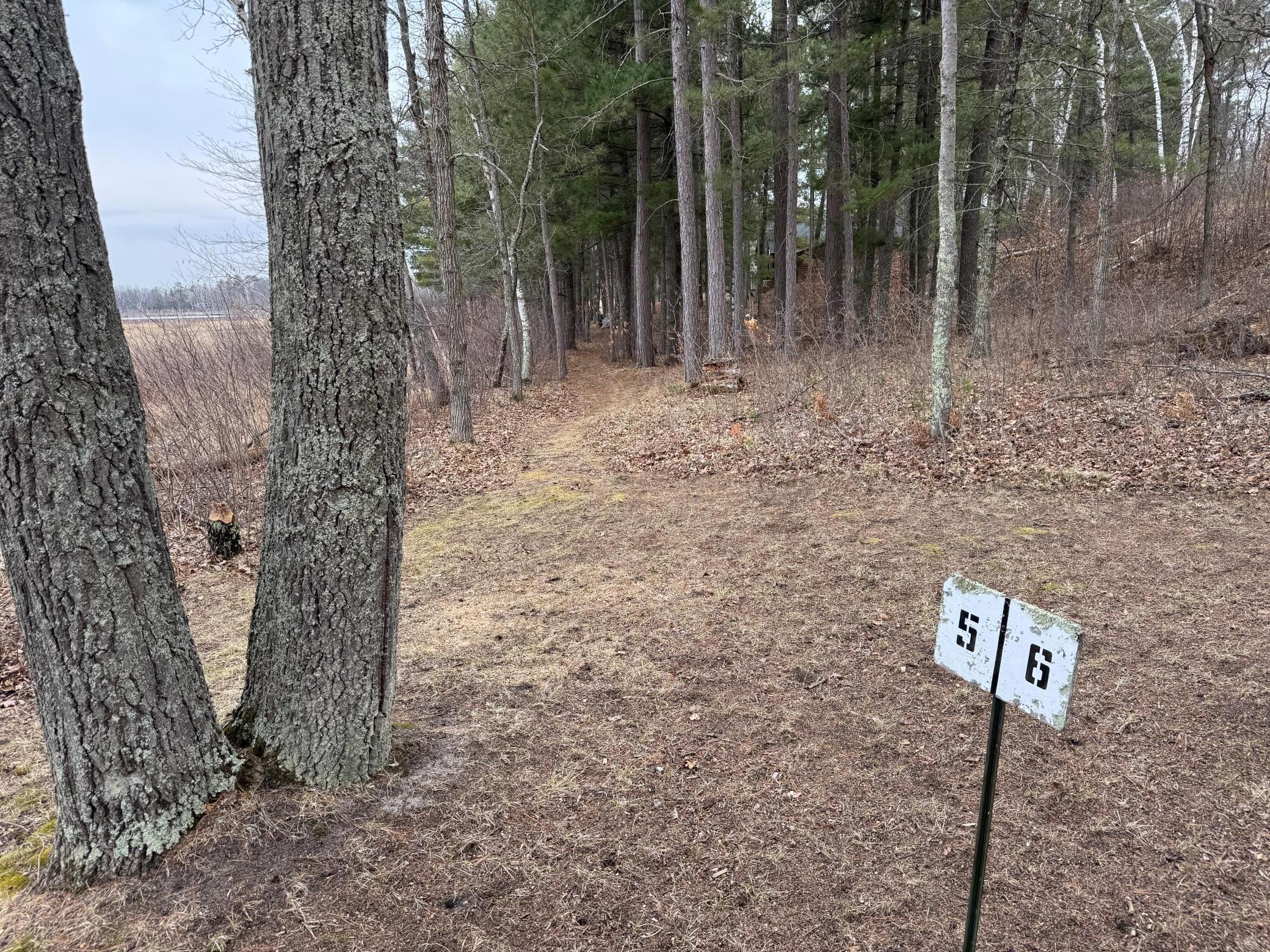 Tbd Tbd Miller Bay Lane Hackensack, MN 56452 - Photo 22 of 32