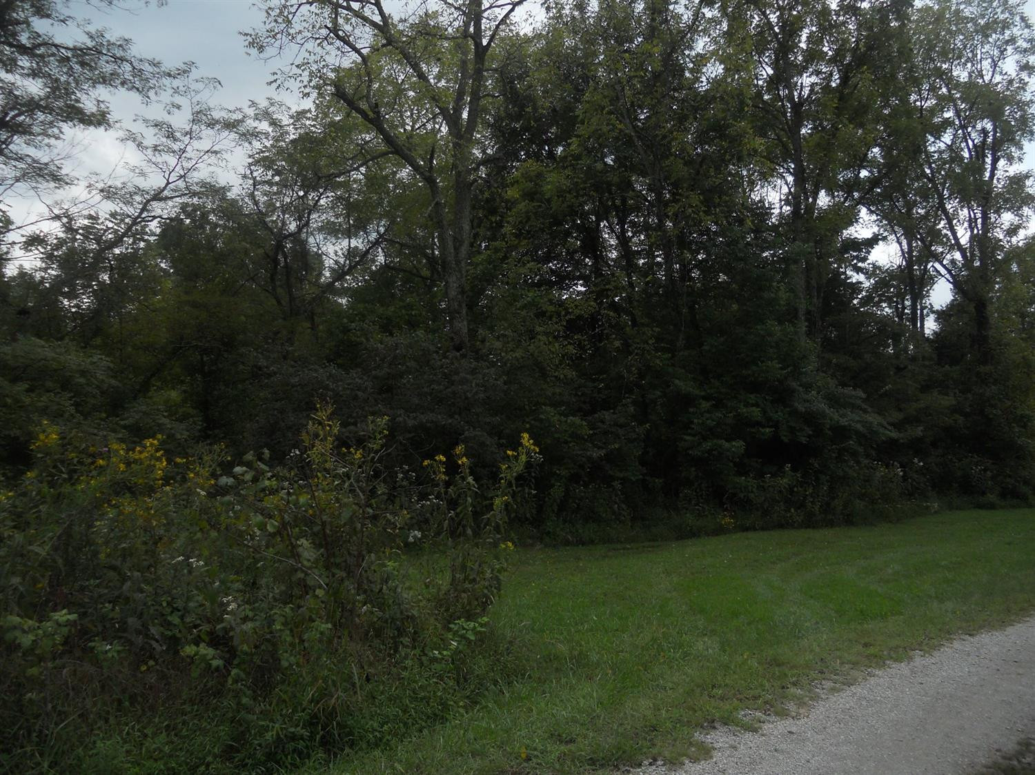 5 General Cable Road Lawrenceburg, KY 40342 - Photo 3 of 13 Photo 4