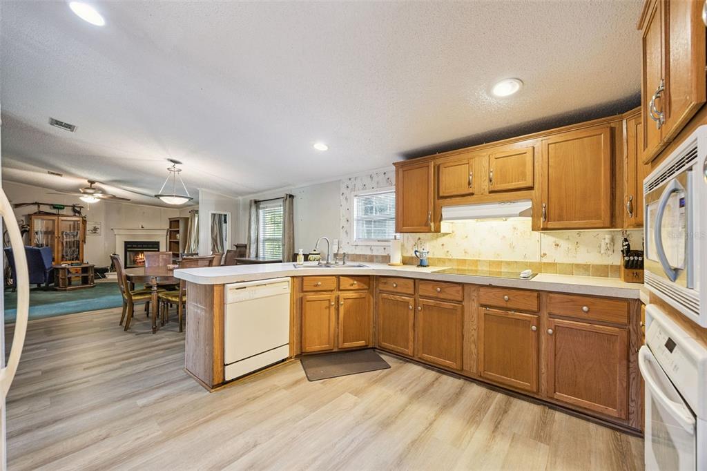 680 Wild Acres Road Osteen, FL 32764 - Photo 9 of 46 Gallery Image 9