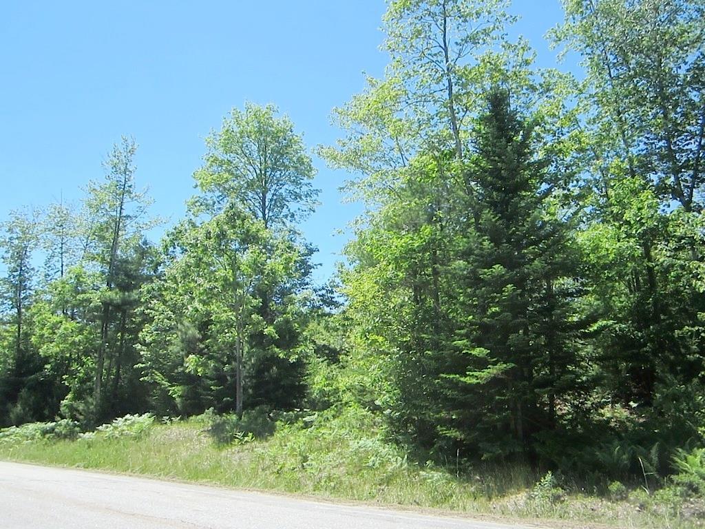 Lot 10 Young Road Lisbon, ME 04250 - Photo 16 of 28 Photo