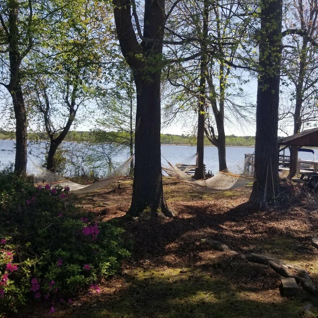 1345 Holland Road Summerton, SC 29148 - Photo 19 of 57
