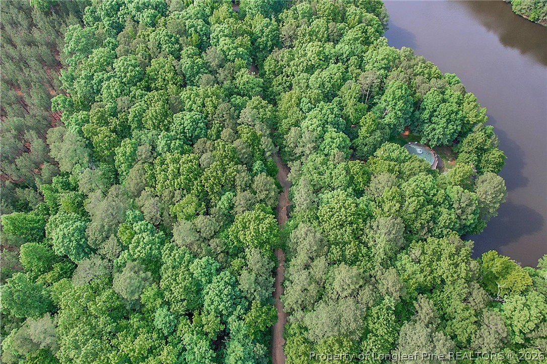 122 Palomino Road Carthage, NC 28327 - Photo 1 of 11 a view of a lush green forest with lots of trees