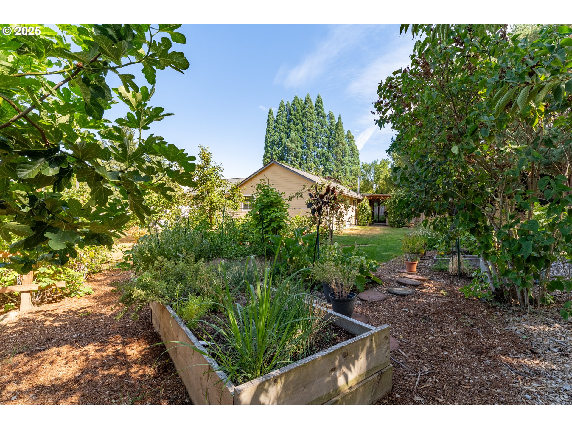 1108 Hadley Road Newberg, OR 97132 - Photo 32 of 42 a backyard of a house with lots of green space