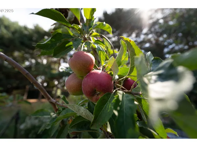 $519,000 | 1108 Hadley Road, Newberg, OR 97132