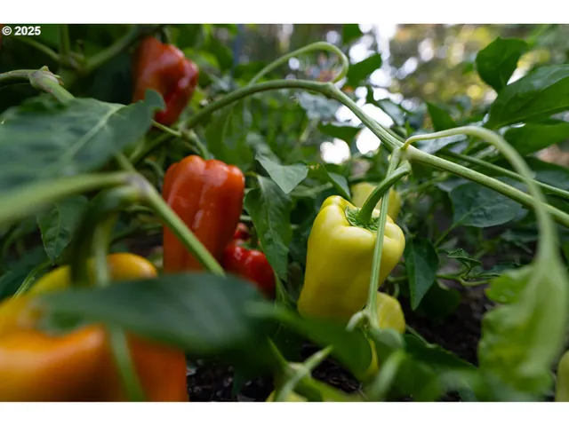 $519,000 | 1108 Hadley Road, Newberg, OR 97132