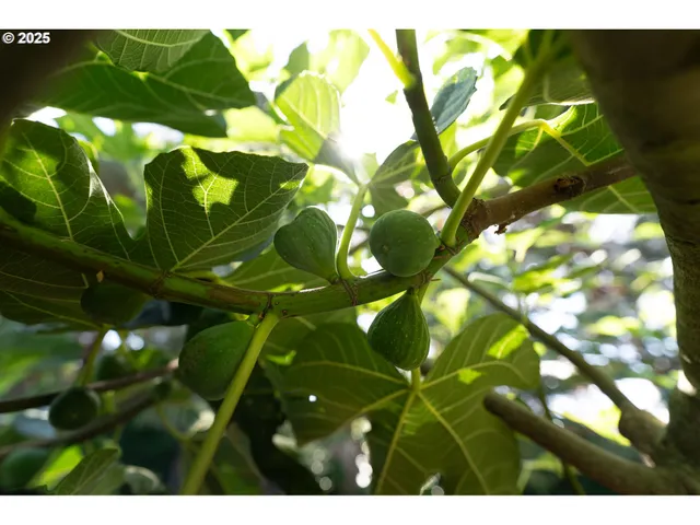 $519,000 | 1108 Hadley Road, Newberg, OR 97132