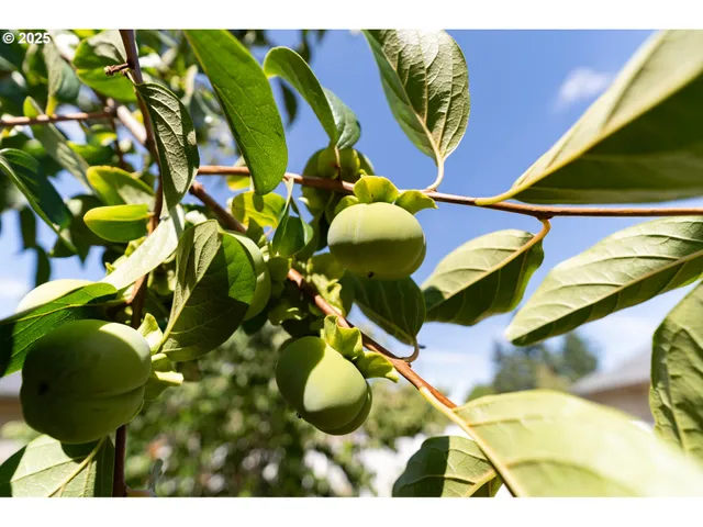 $519,000 | 1108 Hadley Road, Newberg, OR 97132