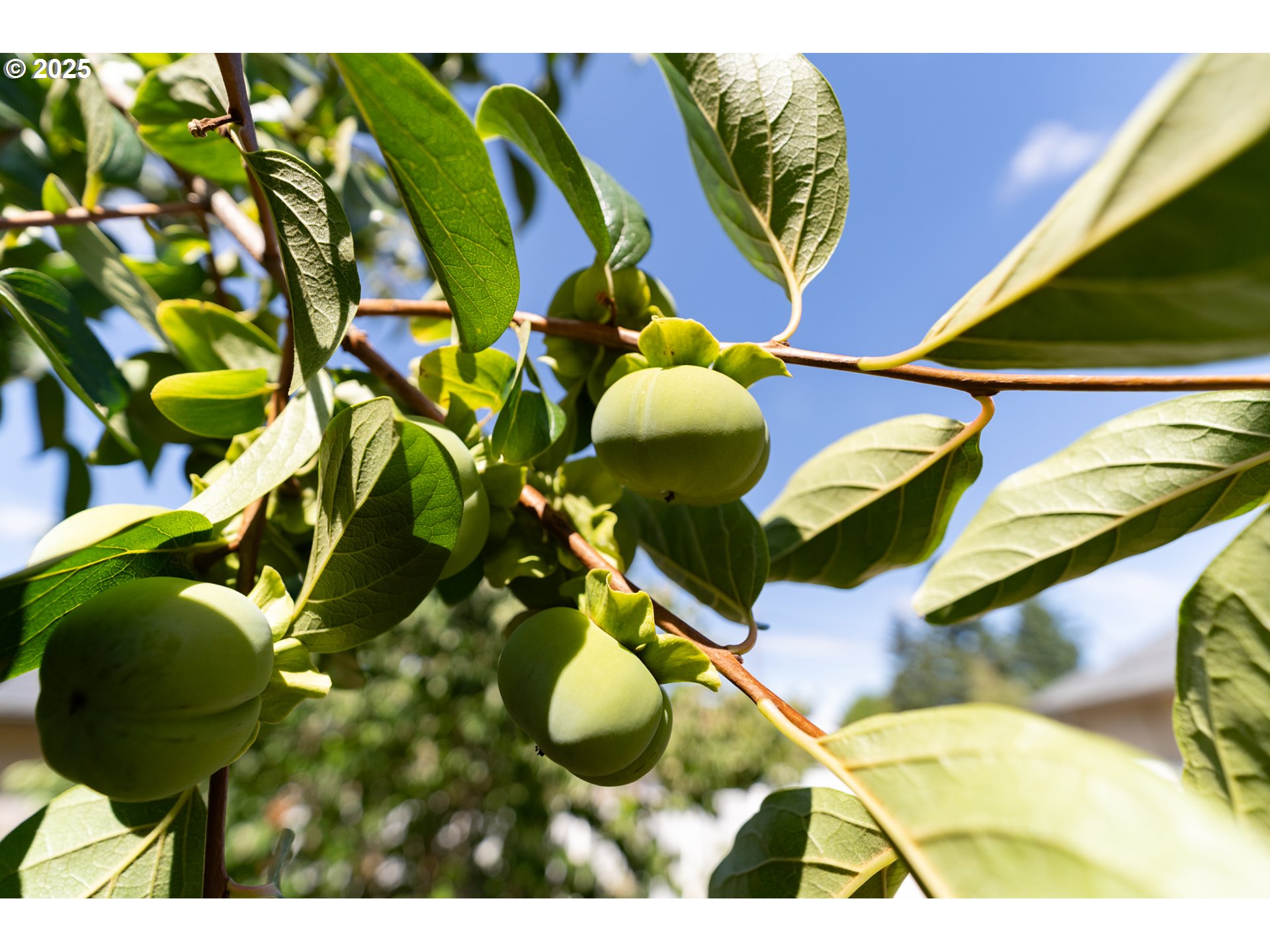 1108 Hadley Road Newberg, OR 97132 - Photo 40 of 42