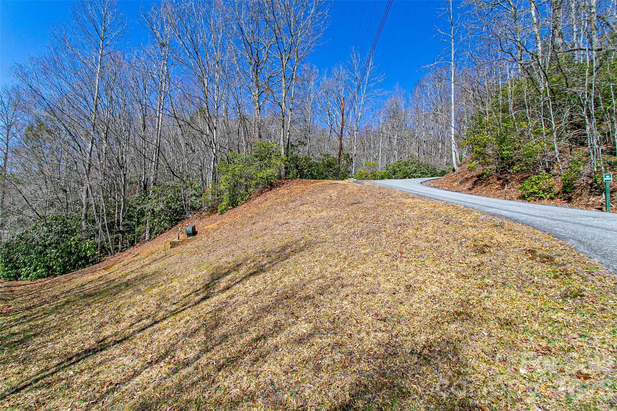 Tbd Still Branch Road, Unit L20 Brevard, NC 28712 - Photo 2 of 26