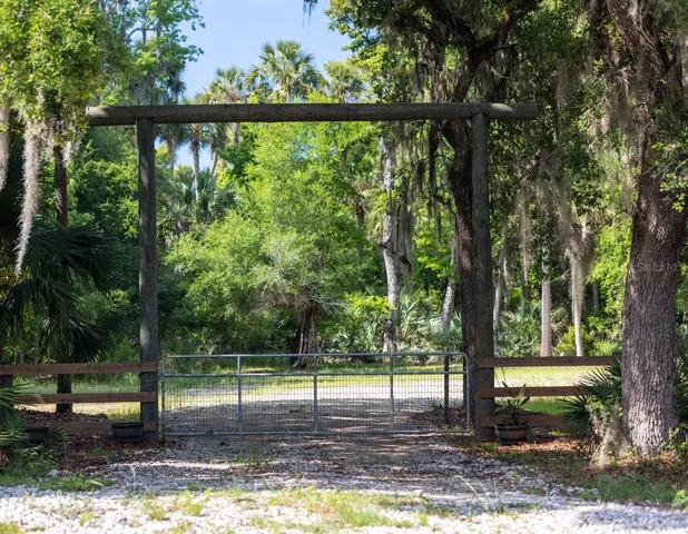 a view of a yard with a tree