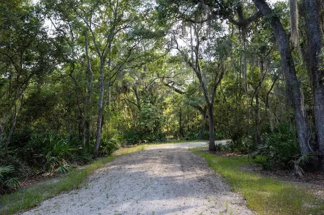 a view of outdoor space and yard