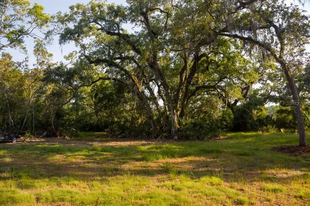 a view of outdoor space with deck and yard