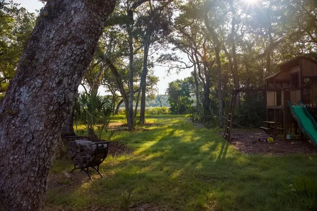 a view of backyard with green space