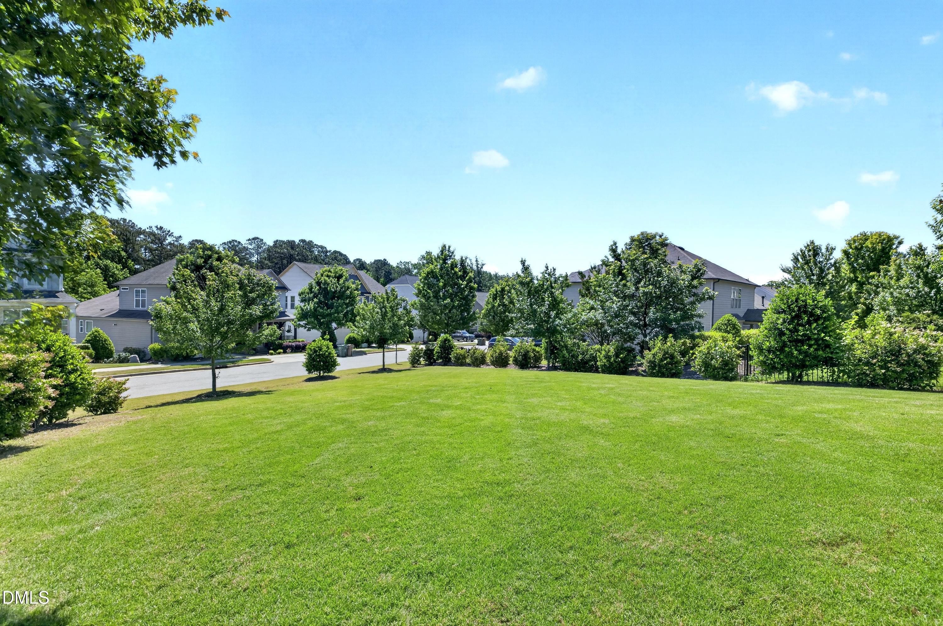8256 Pritchett Farm Lane Raleigh, NC 27606 - Photo 59 of 65 Scene-59