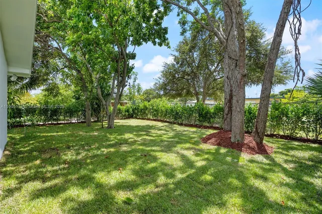 a view of a backyard with large trees