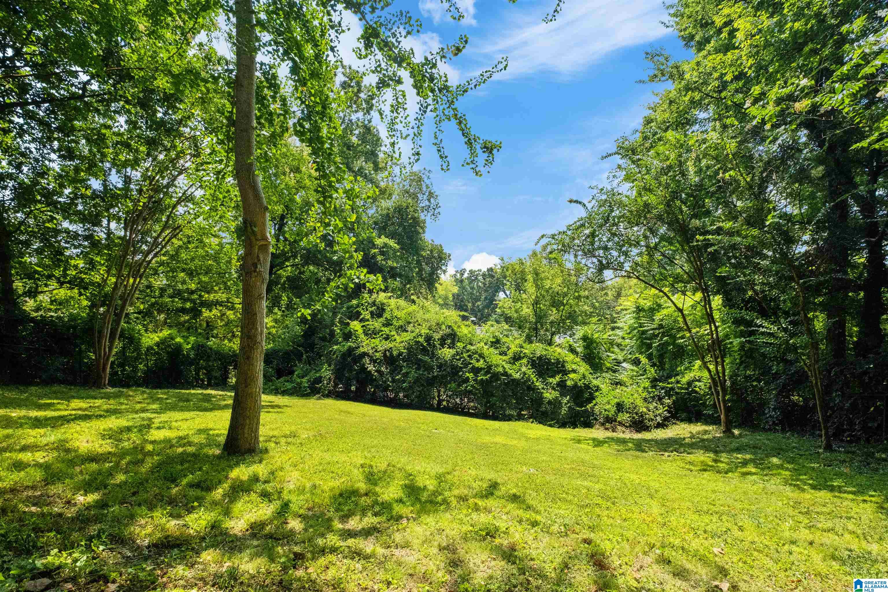 3537 Lenox Road Birmingham, AL 35213 - Photo 51 of 53