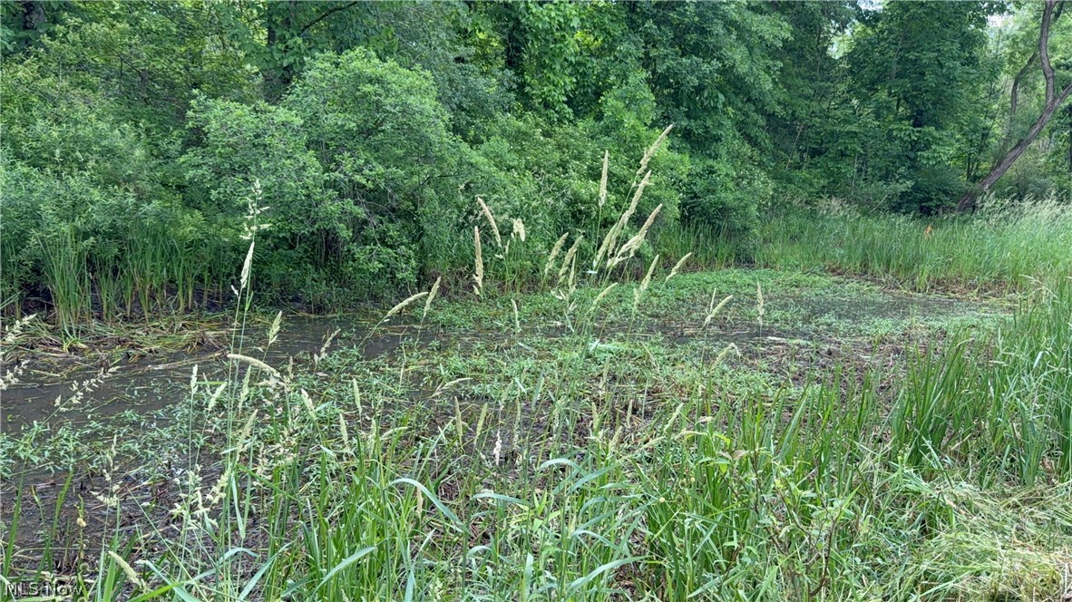 V/l Donley Road Middlefield, OH 44062 - Photo 31 of 35
