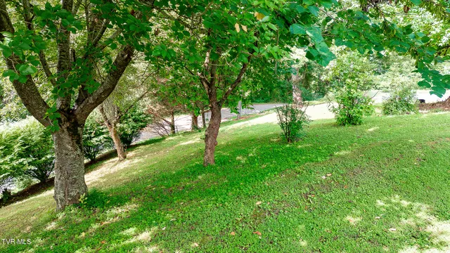 $20,000 | 0 Laurel Street, Unit 22, Weber City, VA 24290