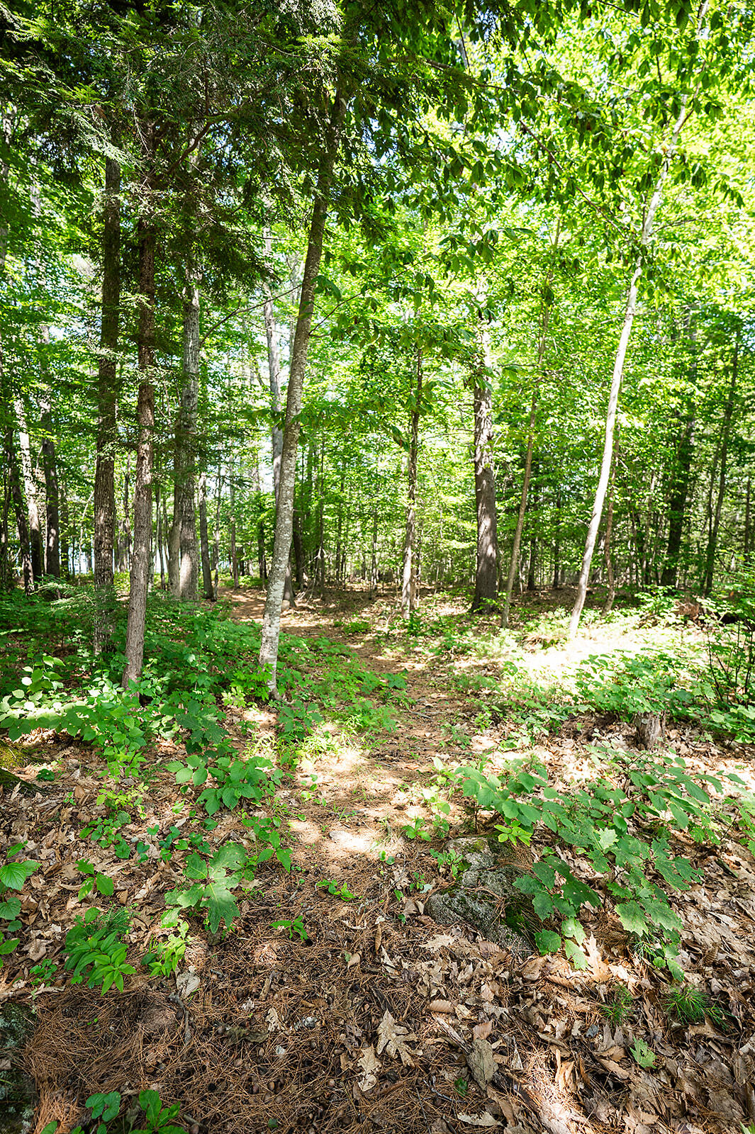 37 Cobb Road Raymond, ME 04071 - Photo 56 of 62 MBCO-172