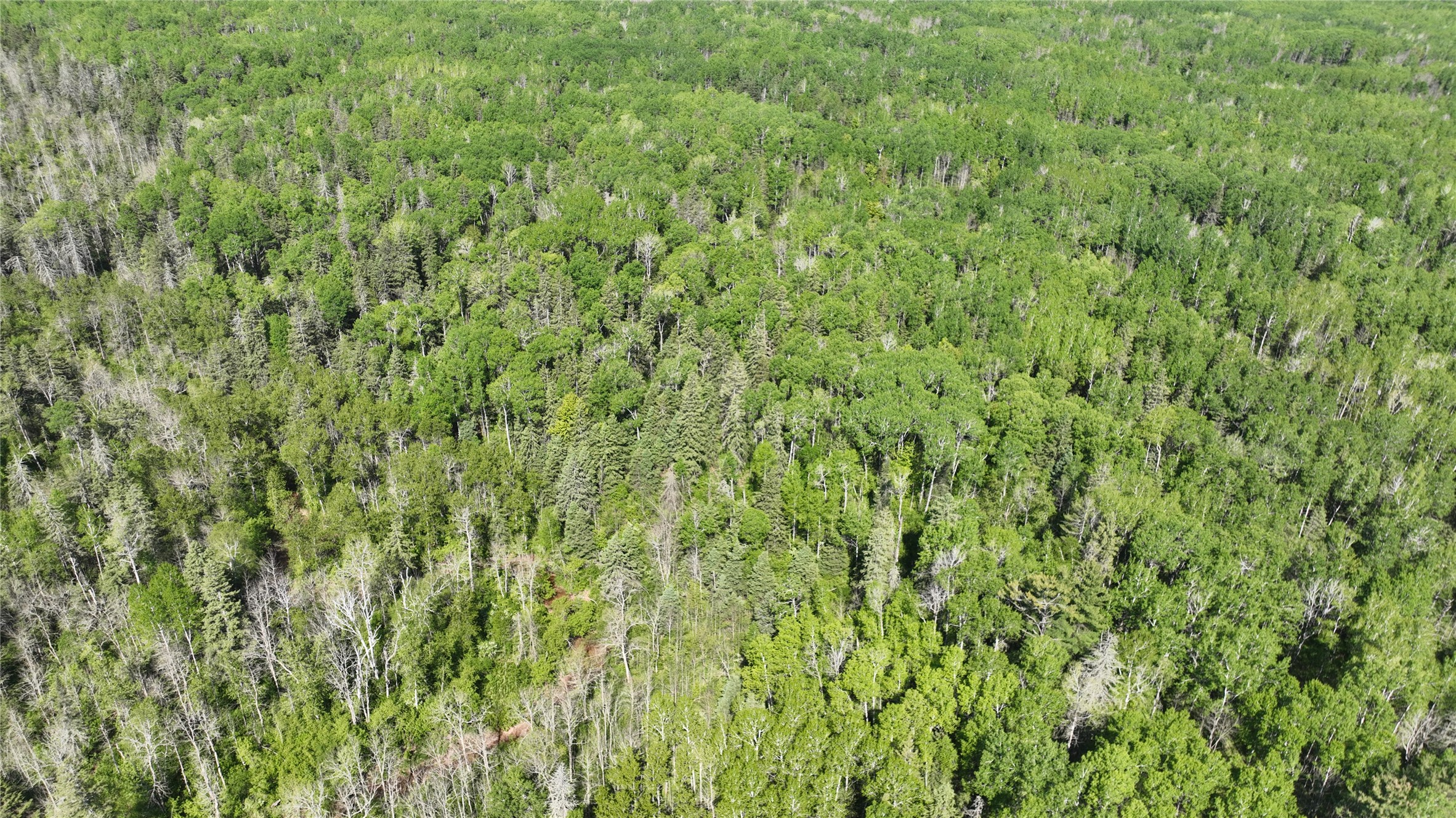 1640 County Road West Superior, WI 54880 - Photo 13 of 49