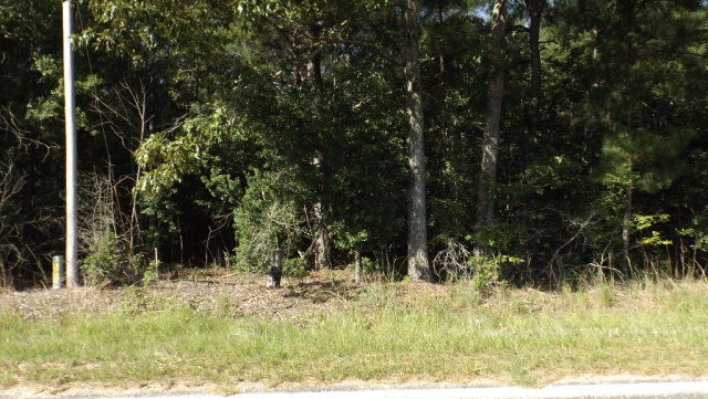 12124 Bloomville Road Manning, SC 29102 - Photo 4 of 6 Gallery Image 4