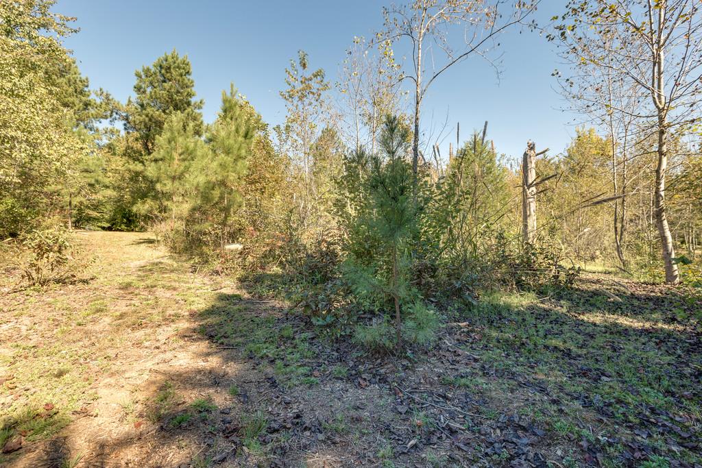 9 Grisham Road Summertown, TN 38483 - Photo 27 of 27 Gallery Image 27