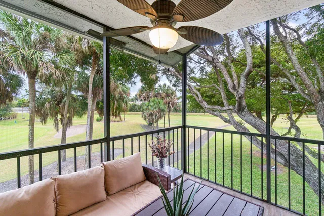 a view of a park with a large trees