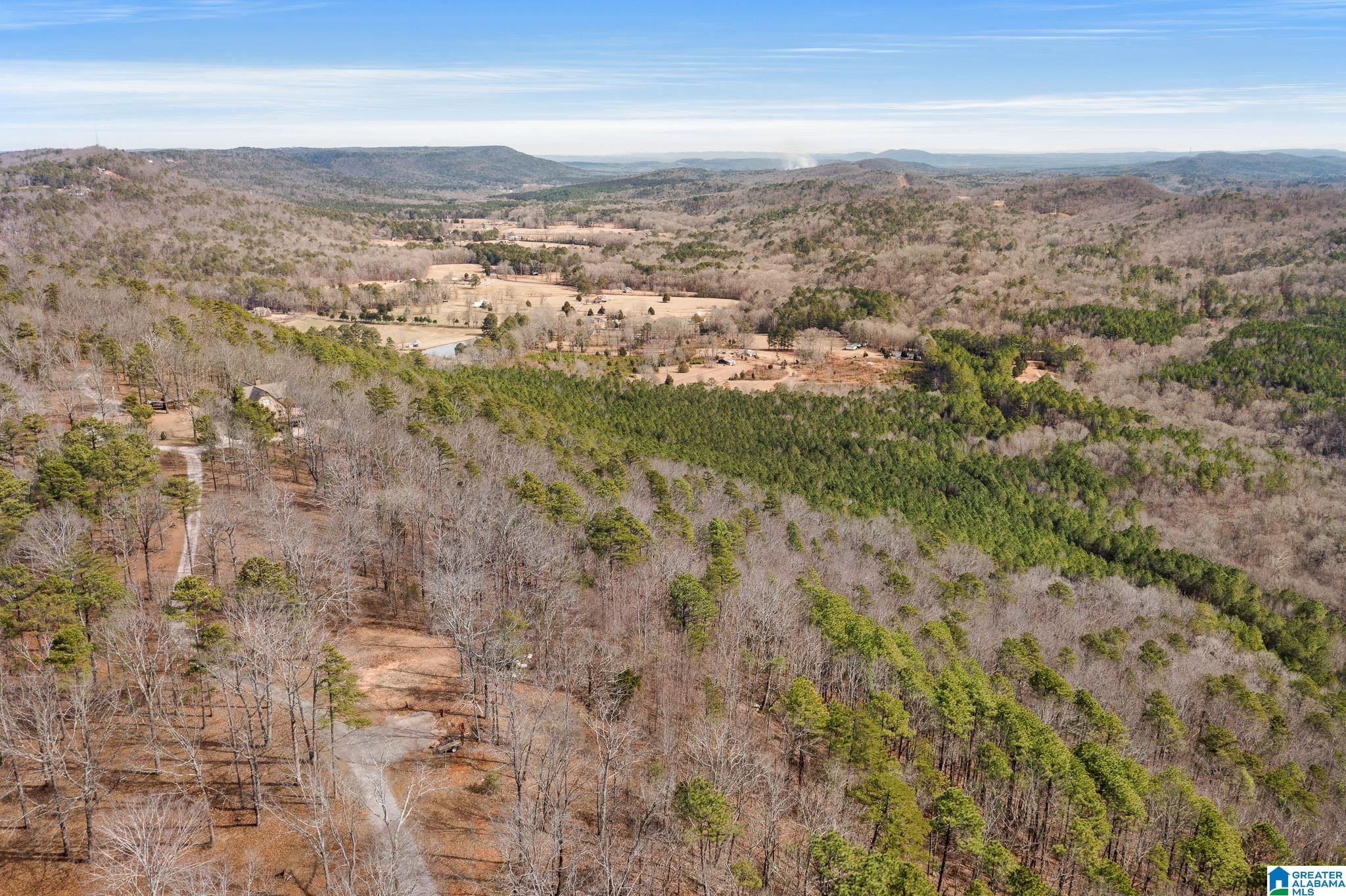 575 Mountain View Lane Springville, AL 35146 - Photo 83 of 84