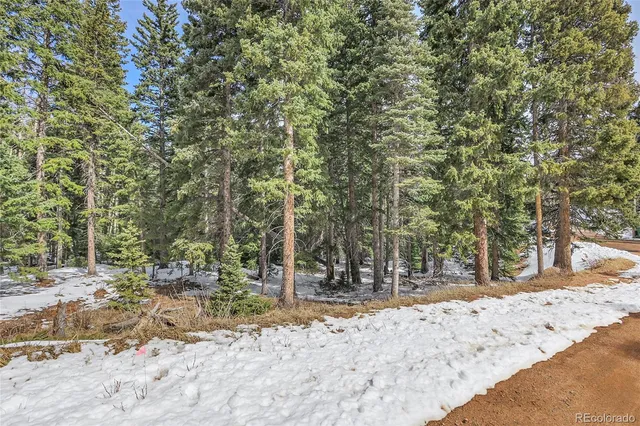 a view of dirt yard with a tree