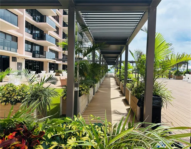 a view of three palm trees