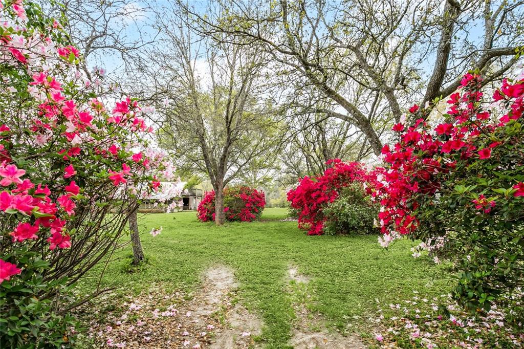 21316 Pat Obrien Road Covington, LA 70435 - Photo 2 of 42 Gallery Image 2