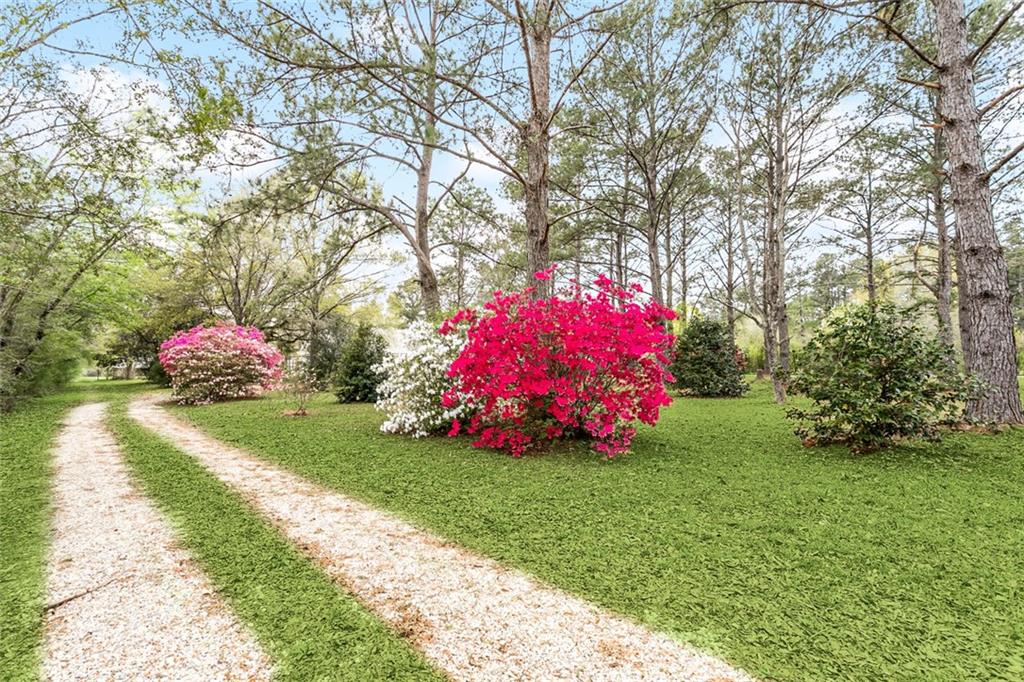 21316 Pat Obrien Road Covington, LA 70435 - Photo 32 of 42 Gallery Image 32