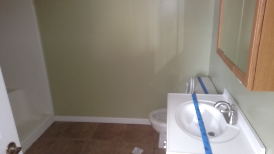 10229 North Begole Road St. Louis, MI 48880 - Photo 10 of 22 1828649-9.JPG