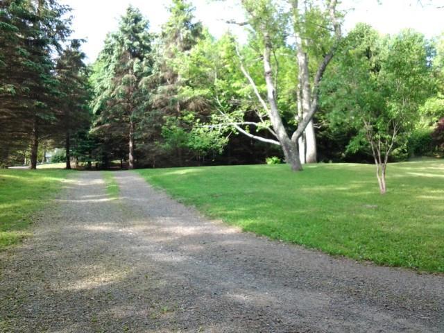 20 Chalybes Road Roxbury, CT 06783 - Photo 1 of 1 a view of a park with large trees